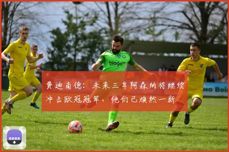 费迪南德：未来三年阿森纳将继续冲击欧冠冠军，他们已焕然一新